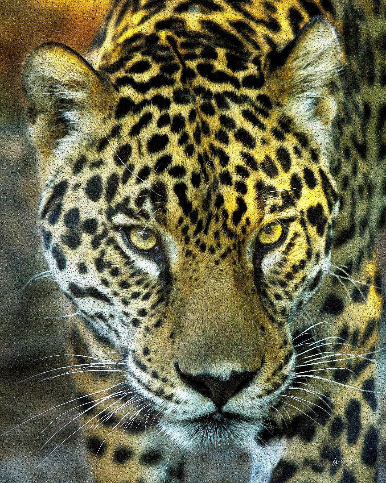 Into the Eyes