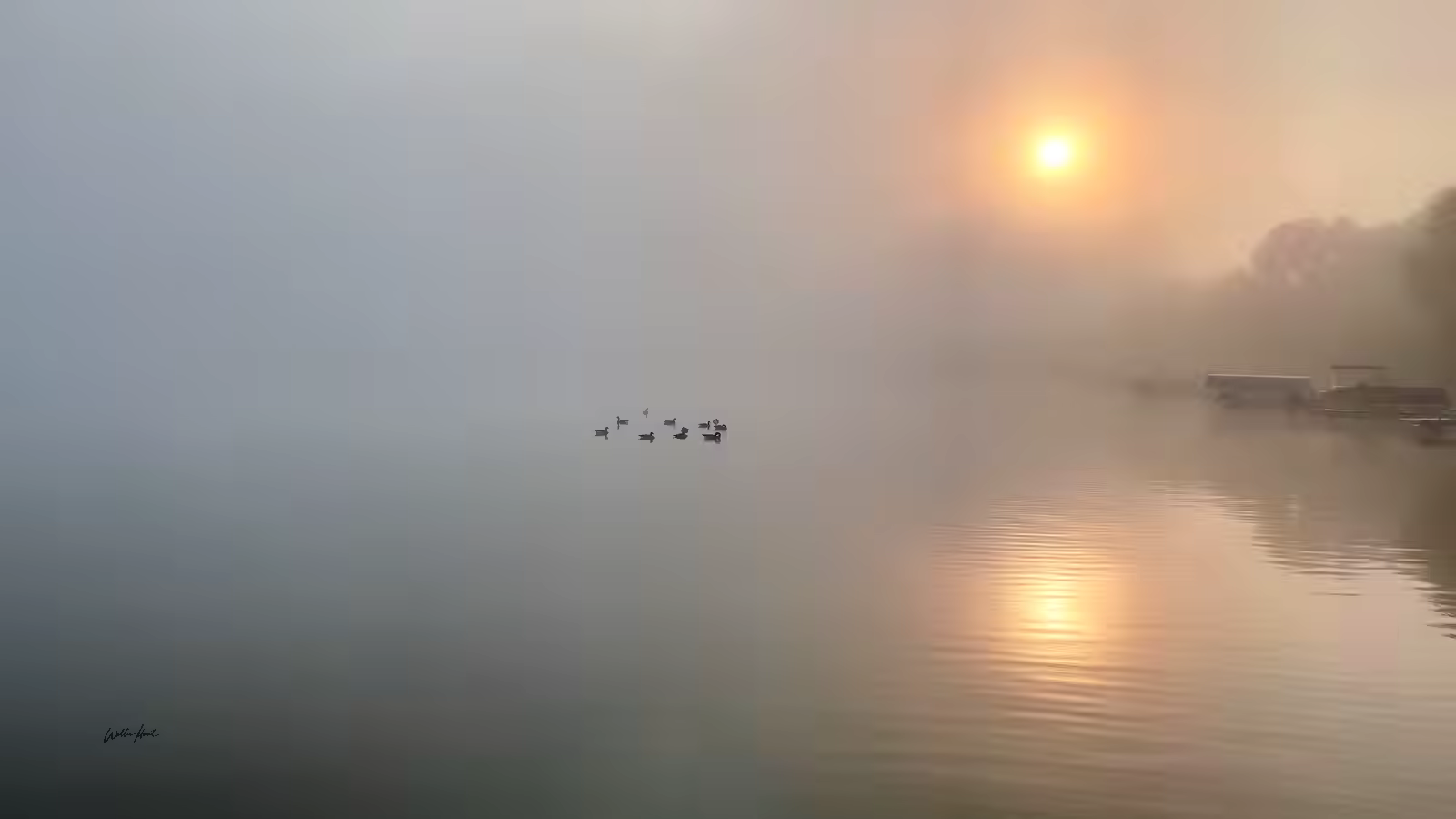 A quiet lake held in morning fog