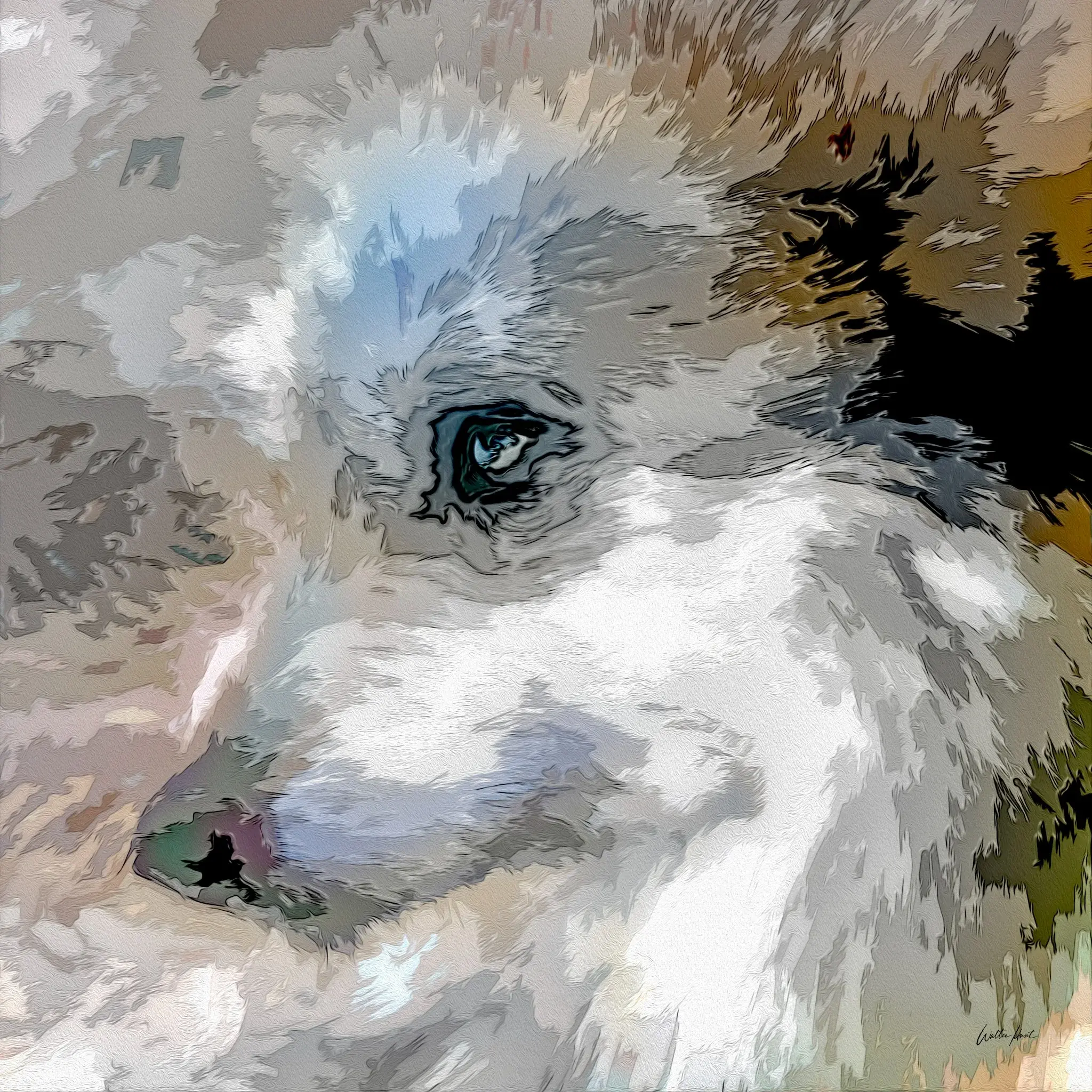 Abstracts