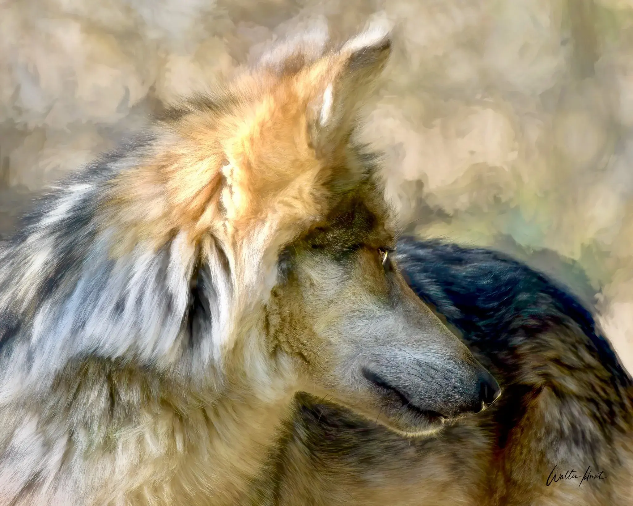 Wildlife