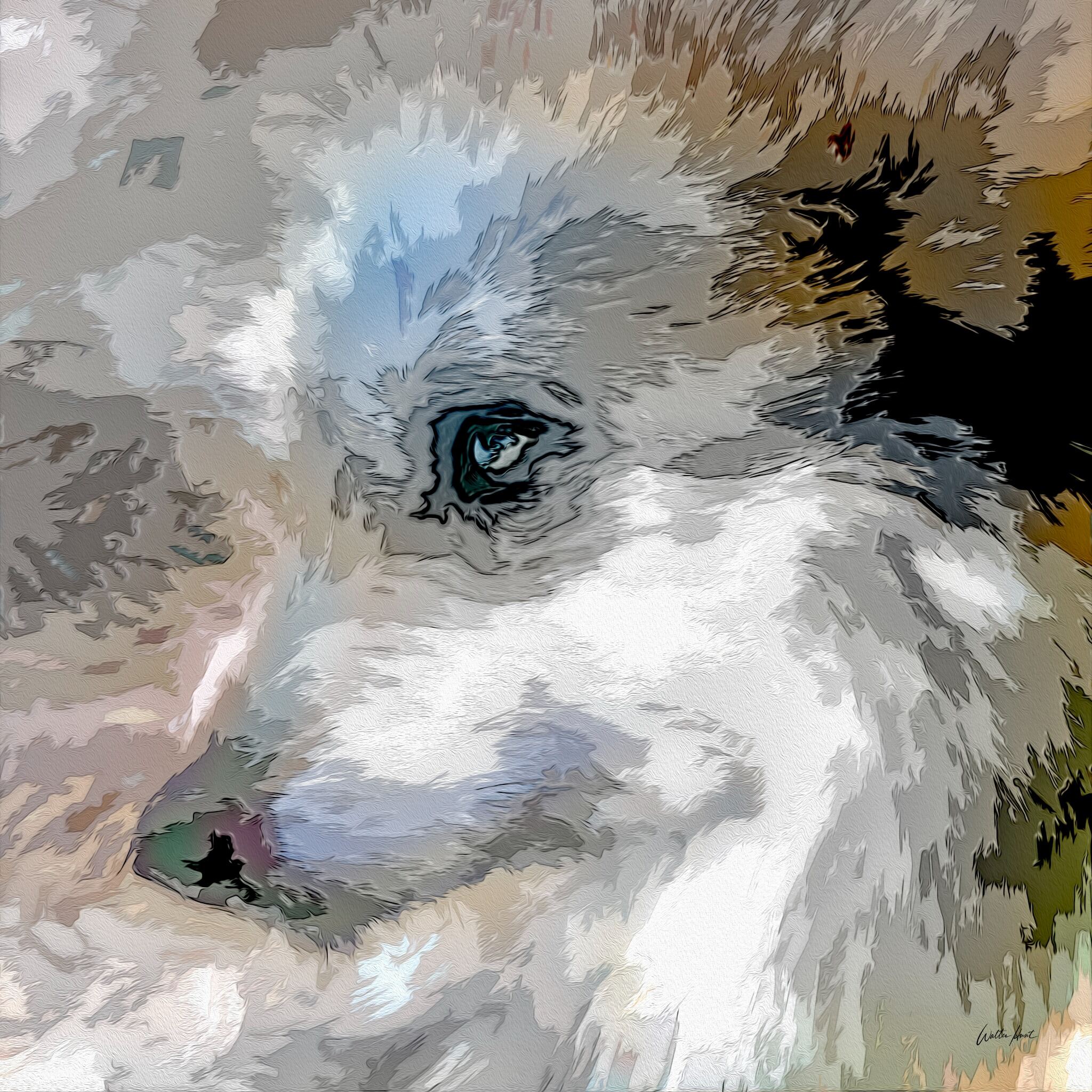 Abstract photographic artwork of a wolf